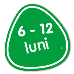 6-12 luni