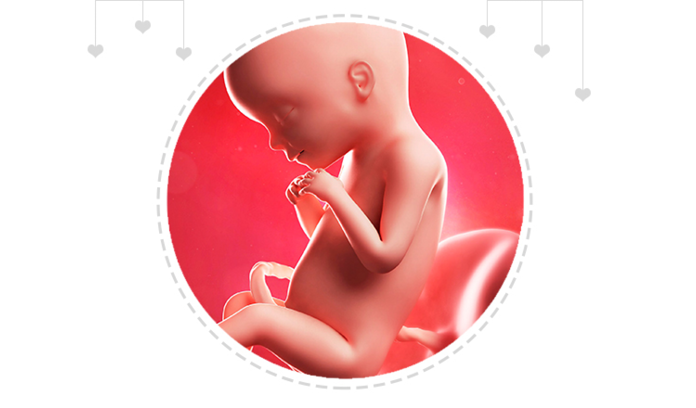 Mothercare