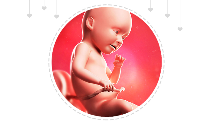 Mothercare