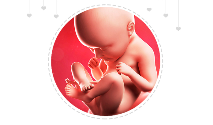 Mothercare