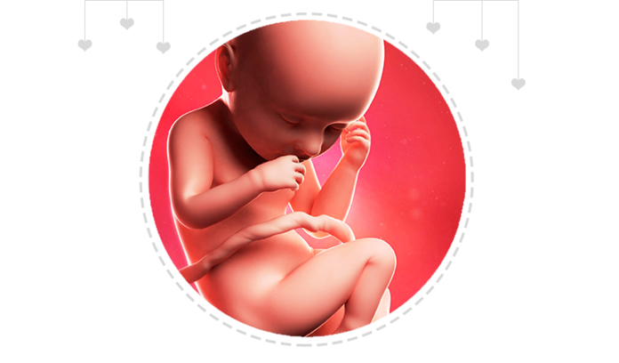 Mothercare