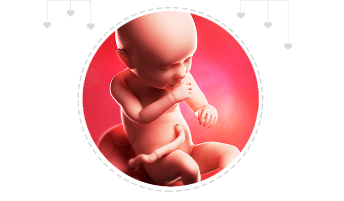 Mothercare