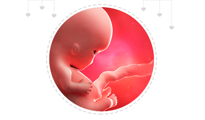Mothercare